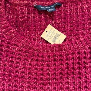 American Eagle Outfitters Women's Berry Knit Sweater